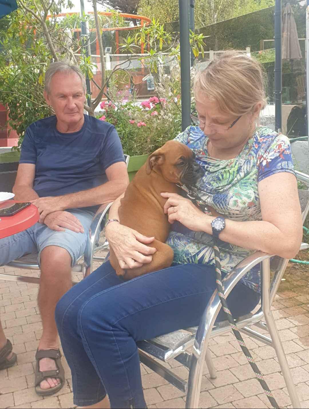 Famille avec jeune chiot au camping les parcs sur penestin